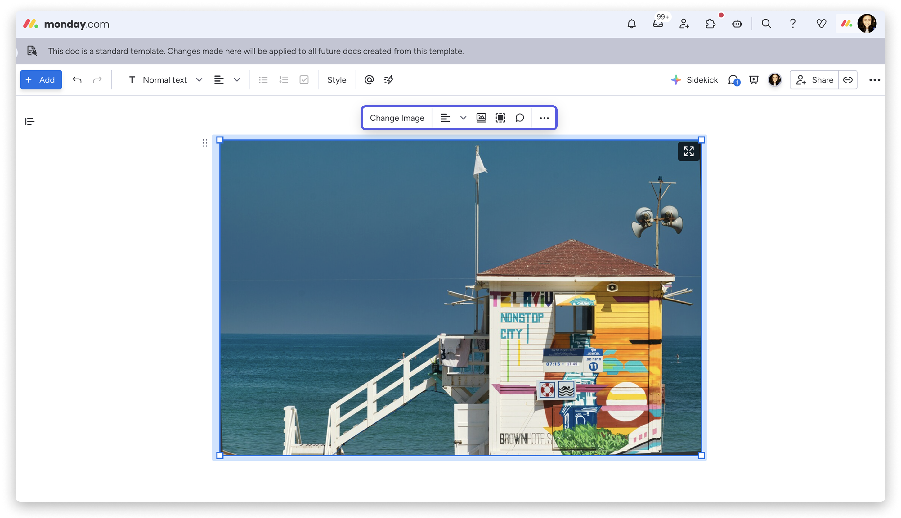WD- Image Settings.png
